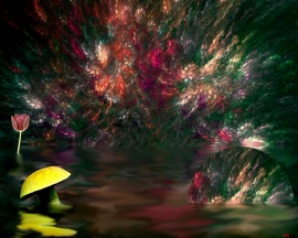 Imagine Pond