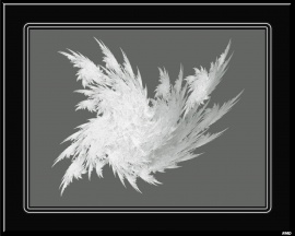 Snowy