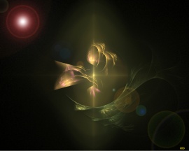 Flash In The Dark