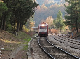 Train in autumn