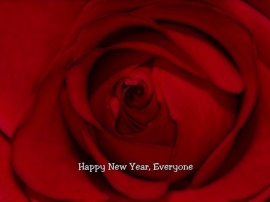 New Year Rose