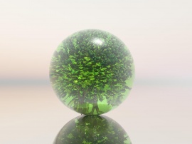 Tree Sphere