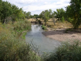 Lazy Colorado Creek