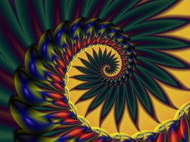 Tail Feathers