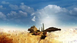 Desert Rock Cactus
