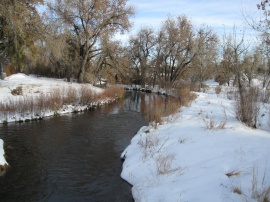 Creek after a Snow