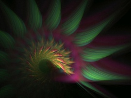 Feather Soft