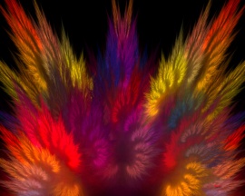 Colors