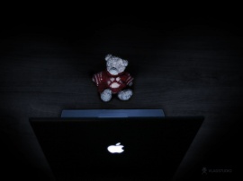 Teddy Bear and MacBook