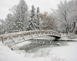 Snow Bridge ScSv