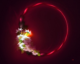 Flower Power
