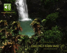 Jungle Falls ScSv wall by richard mohler
