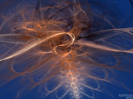 Spines