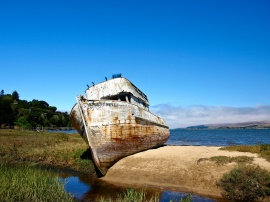 Shipwrecked in the bay of Tomales