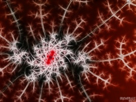 Spiketacular