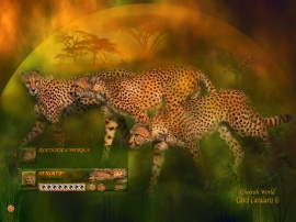 Cheetah World