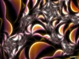 Slices