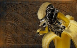 Alien Banana_vista