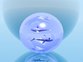 Sea Sphere