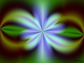 NovaSoup