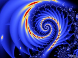 Snail Burst