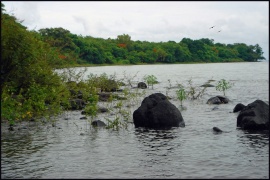 Pond 07