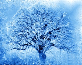 Blue Ice Willow Logon