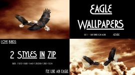 Eagle Walls  Set 1