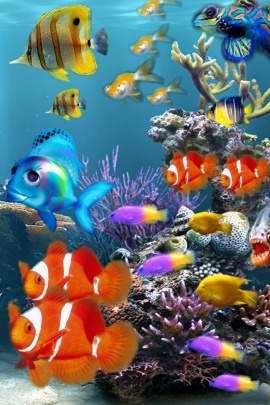 Aquarium Colors iPhone 640x960